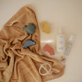 Load image into Gallery viewer, Vehicles Mold Free Bath Play Set