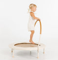 Load image into Gallery viewer, Wholesale Trampoline