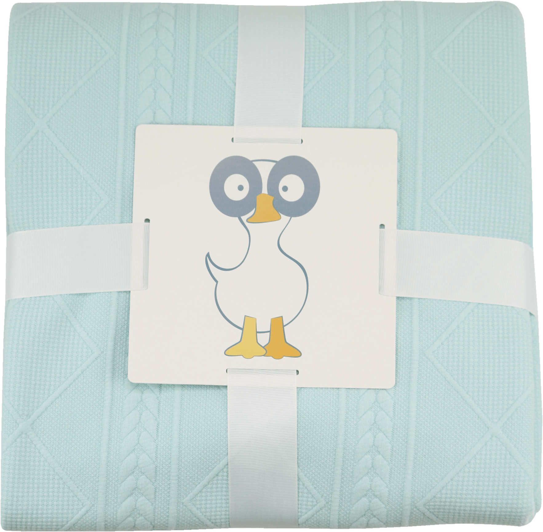 Mint 50" x 60" Full Size Knit Throw