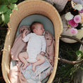 Load image into Gallery viewer, Organic Cotton Muslin Swaddle Blanket