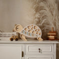 Load image into Gallery viewer, Little Lights Turtle Lamp