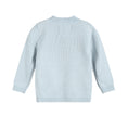Load image into Gallery viewer, Light Blue Pumpkin Girls Cardigan