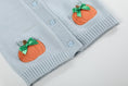 Load image into Gallery viewer, Light Blue Pumpkin Girls Cardigan