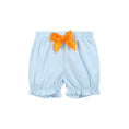 Load image into Gallery viewer, Light Blue Pumpkin Vine Smocked Dress and Bloomers