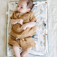 Load image into Gallery viewer, MINKY/LUSH MINI BLANKETS