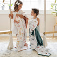 Load image into Gallery viewer, MINKY/LUSH TODDLER BLANKETS