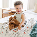 Load image into Gallery viewer, MINKY/LUSH XL BLANKETS
