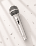 Load image into Gallery viewer, Silver Pop Star Microphone