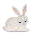 Load image into Gallery viewer, Little Lights Bunny Lamp
