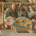 Load image into Gallery viewer, Little Lights Turtle Lamp