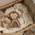 Load image into Gallery viewer, Little Lights Monkey Lamp