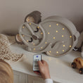 Load image into Gallery viewer, Little Lights Koala Bear Lamp