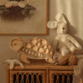 Load image into Gallery viewer, Little Lights Turtle Lamp