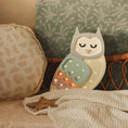 Load image into Gallery viewer, Little Lights Owl Lamp