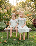 Load image into Gallery viewer, Sage Green Gingham Pumpkin Smocked Romper
