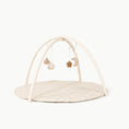 Load image into Gallery viewer, Wholesale Baby Activity Gym
