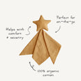 Load image into Gallery viewer, Star Lovey Blanket