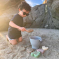 Load image into Gallery viewer, Hazel's Farm Silicone Beach Toy Set
