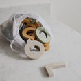 Load image into Gallery viewer, Letters & Numbers Bath Play Set
