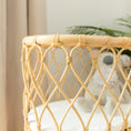 Load image into Gallery viewer, Olivia Doll Bassinet
