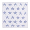 Load image into Gallery viewer, Chenille - Dusty Blue Star Blanket
