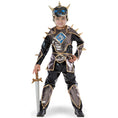 Load image into Gallery viewer, Dragon Knight Costume
