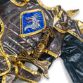 Load image into Gallery viewer, Dragon Knight Costume
