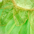Load image into Gallery viewer, Enchanted Fairy Costume
