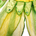 Load image into Gallery viewer, Butterfly Princess Costume
