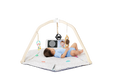 Load image into Gallery viewer, The Play Gym
