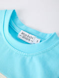 Load image into Gallery viewer, Boys Baseball Embroidery Blue T-shirt and Red Stripe Shorts Set
