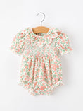 Load image into Gallery viewer, Fall Blush Floral Baby Romper Smocked Petal Collar
