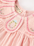 Load image into Gallery viewer, Fall Baby Girl Pink Peter Pan Collar Embroidered Bloomer Set
