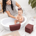 Load image into Gallery viewer, Muslin Washcloths in Wine
