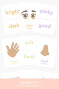 Load image into Gallery viewer, Learning Flashcards - Fall Release Bundle

