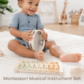 Load image into Gallery viewer, 4-Piece Kids Musical Instruments for Toddlers
