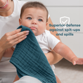 Load image into Gallery viewer, Muslin Burp Cloths in Multi Boy
