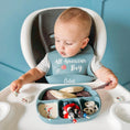 Load image into Gallery viewer, All American Catch All Bib
