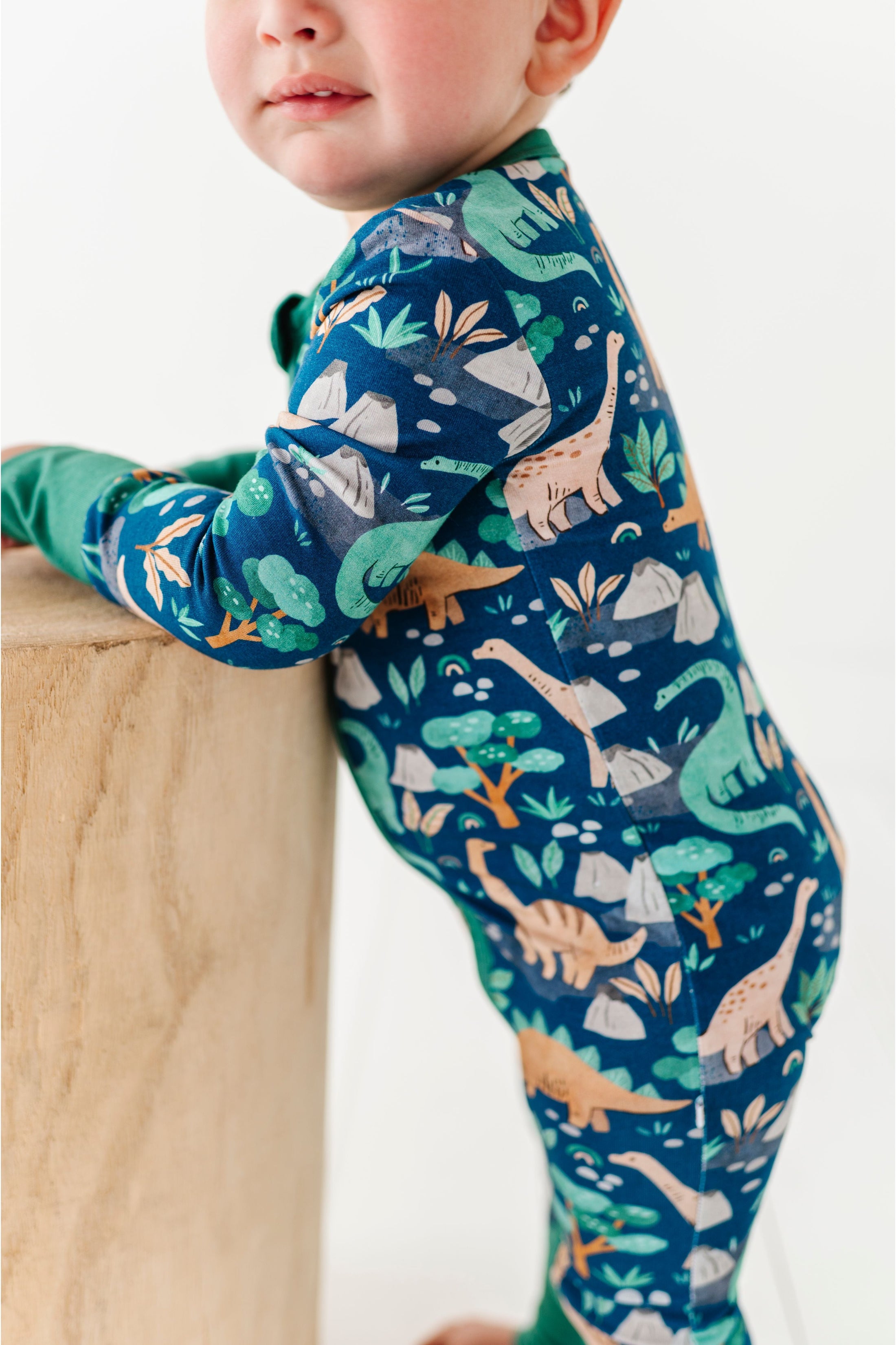 Bamboo One Piece Zip Pajama - Arlo Dino