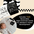 Load image into Gallery viewer, Curious Baby™ Activity Cards
