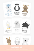 Load image into Gallery viewer, Animal 2 Flashcards Bundle
