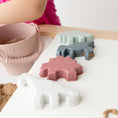 Load image into Gallery viewer, Ainsley's Dinos Silicone Beach Toy Set
