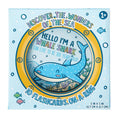 Load image into Gallery viewer, Let's Explore Under the Sea  Diecut Flashcards
