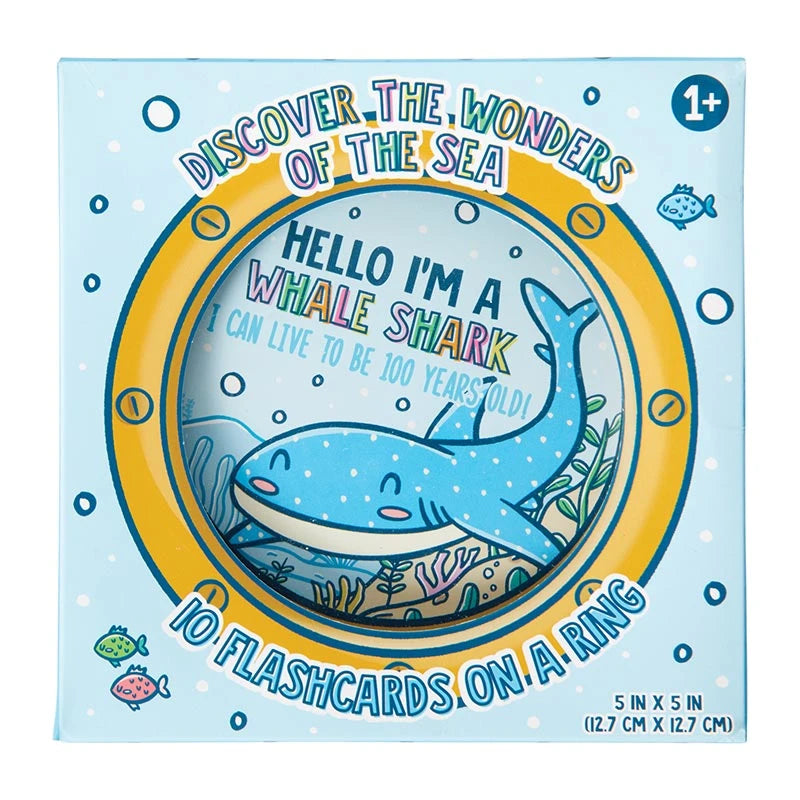 Let's Explore Under the Sea  Diecut Flashcards