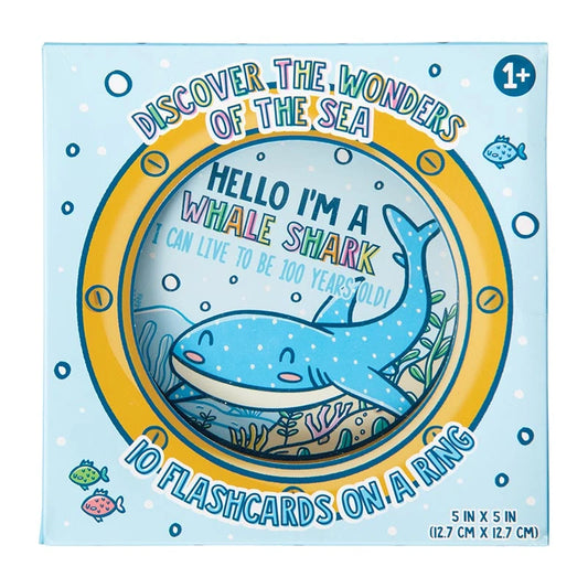 Let's Explore Under the Sea  Diecut Flashcards
