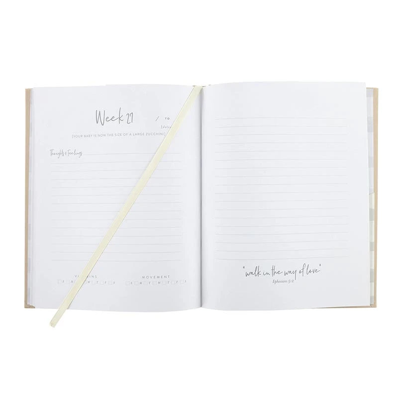 Blessing Pregnancy Prayer Journal