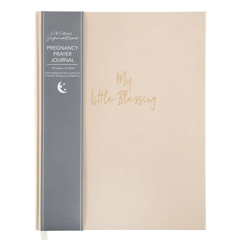 Blessing Pregnancy Prayer Journal