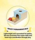 Load image into Gallery viewer, Montessori Educational Box (5-6 Months)
