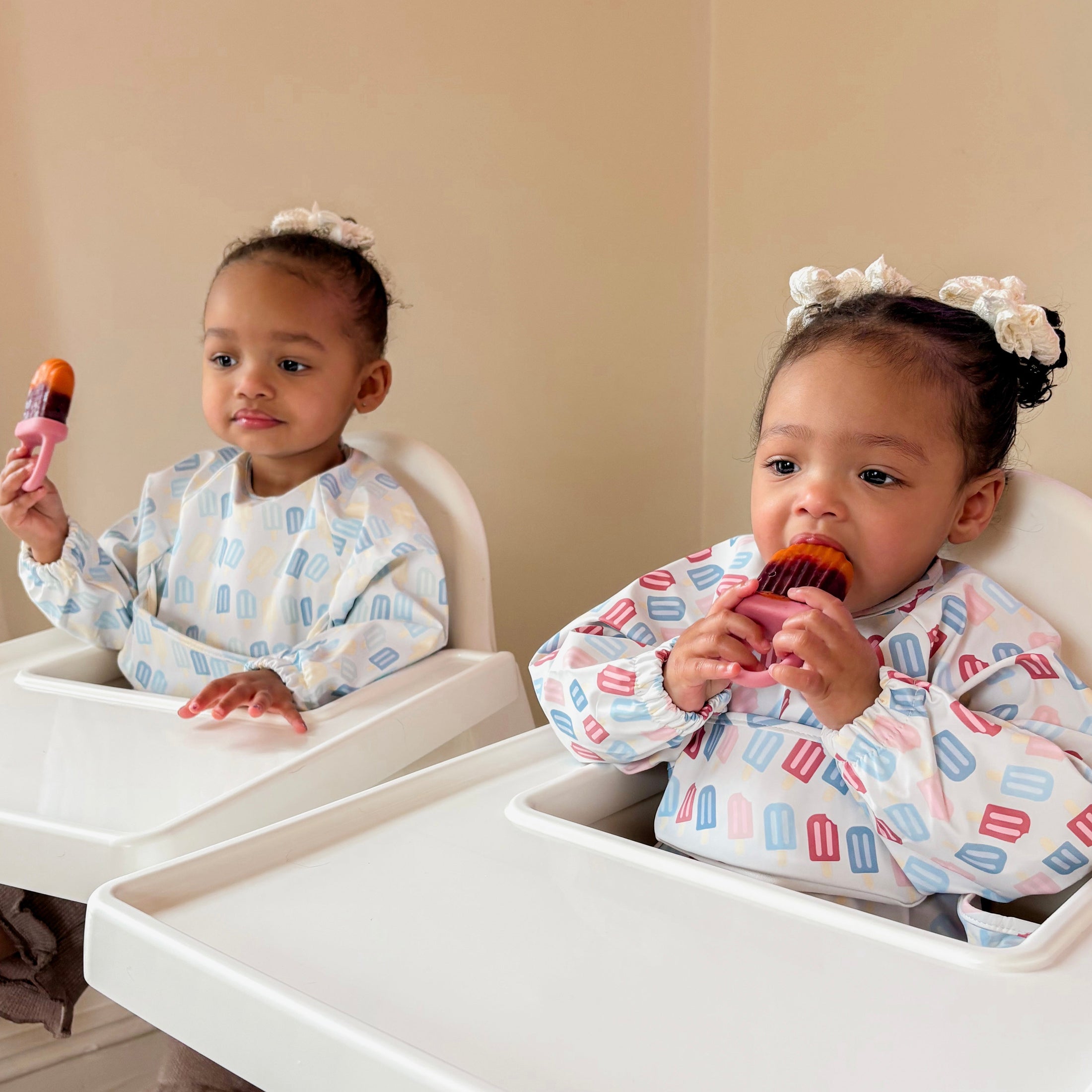 The Grayson Long Sleeve Bib - Popsicles