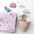 Load image into Gallery viewer, Ainsley's Dinos Silicone Beach Toy Set
